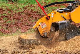 Best Organic Lawn Care Solutions  in Belhaven, NC